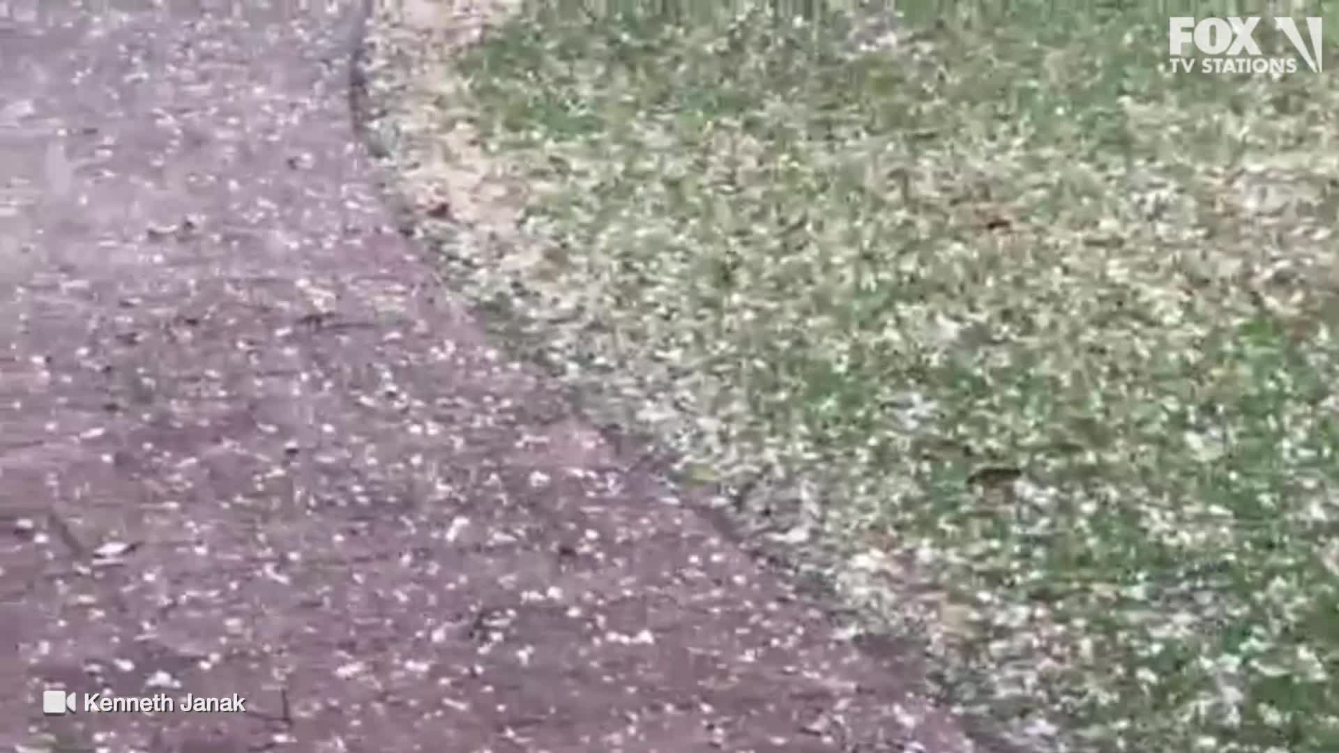Fort Worth hail
