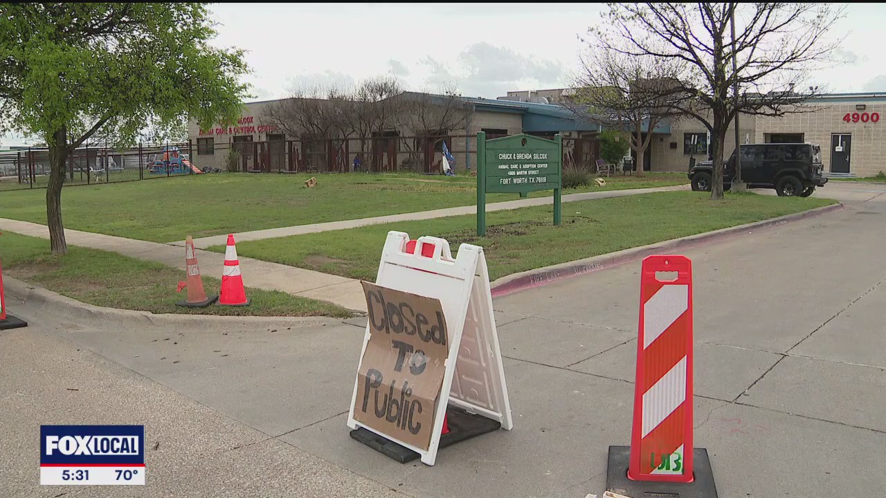 FW animal shelters closed after distemper outbreak
