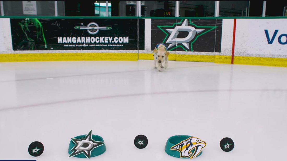 Poppy picks Stars vs. Predators