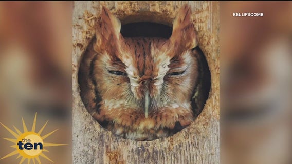 Weekend recap and Nuuds clothing | The Ten