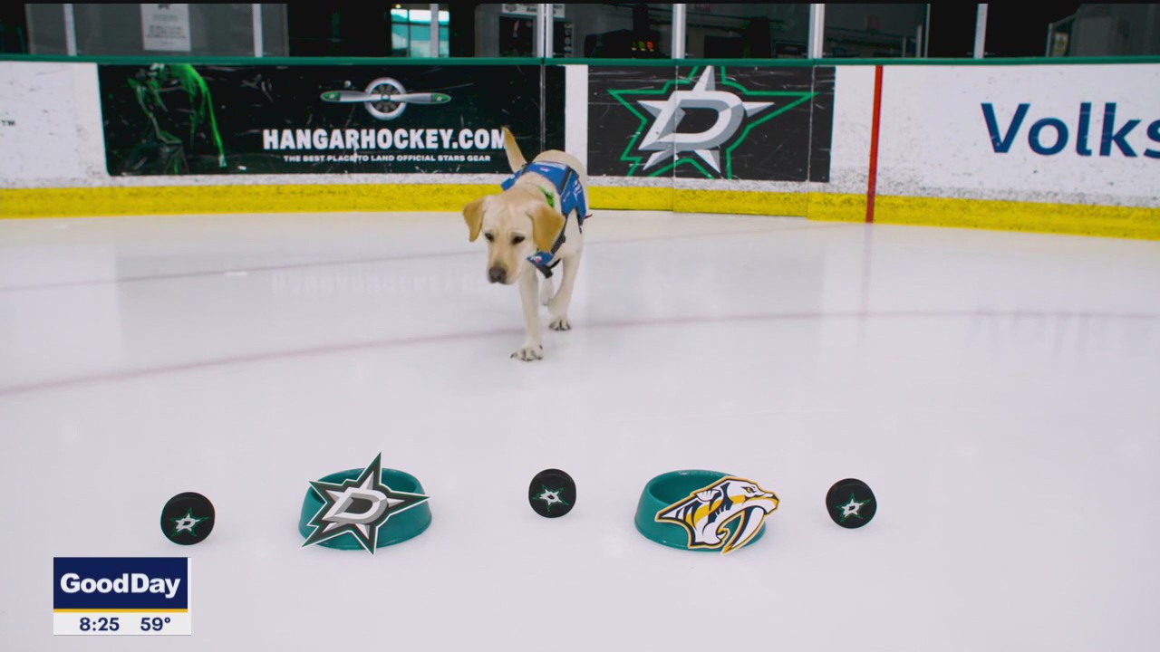 Poppy's Pucks: Stars vs. Predators