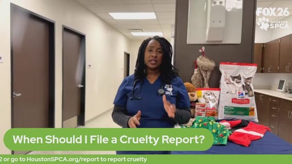 The Pet Pawcast - Winter Freeze