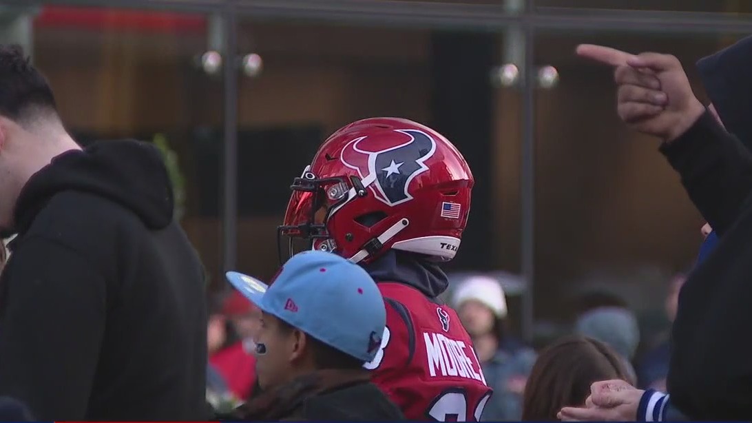 Texans fans share pride in team despite loss