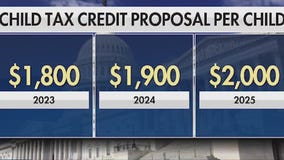 Congress agrees upon child tax credit expansion