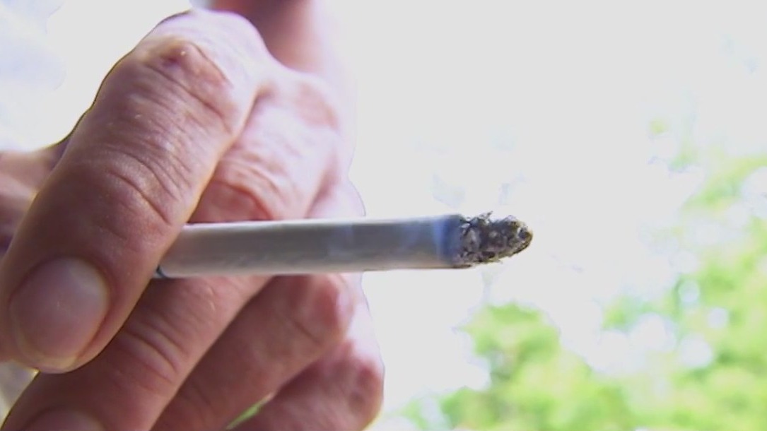 Smoking can cause brain shrinkage: study