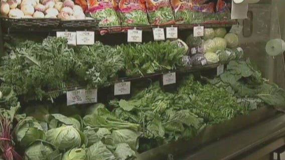 Plant protein may keep women healthier: study