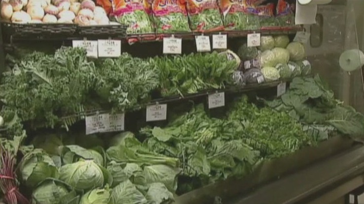 Plant protein may keep women healthier: study