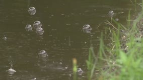 Houston weather: Houstonians preparing for possible flooding