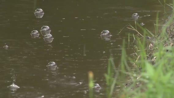 Houston weather: Houstonians preparing for possible flooding