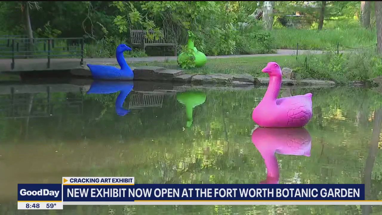New exhibit open at the Fort Worth Botanical Gardens
