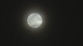 Bayou City Buzz: Checking out the Wolf Moon