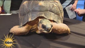 Dallas Zoo After Dark, new summer products & more | The Ten