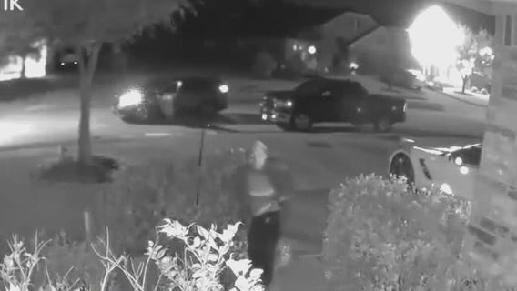 Pet 'reunion' turns out to be woman stealing dogs