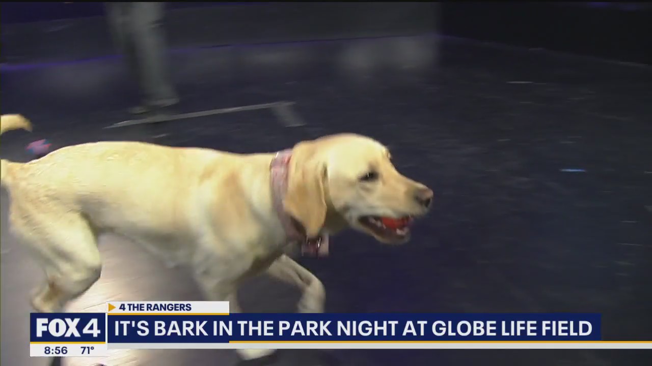 Bark in the Park Night at Globe Life Field