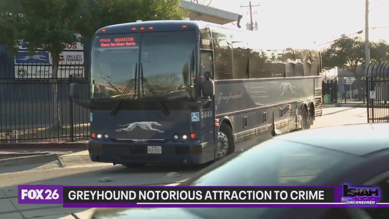 Greyhound notorious attraction to crime