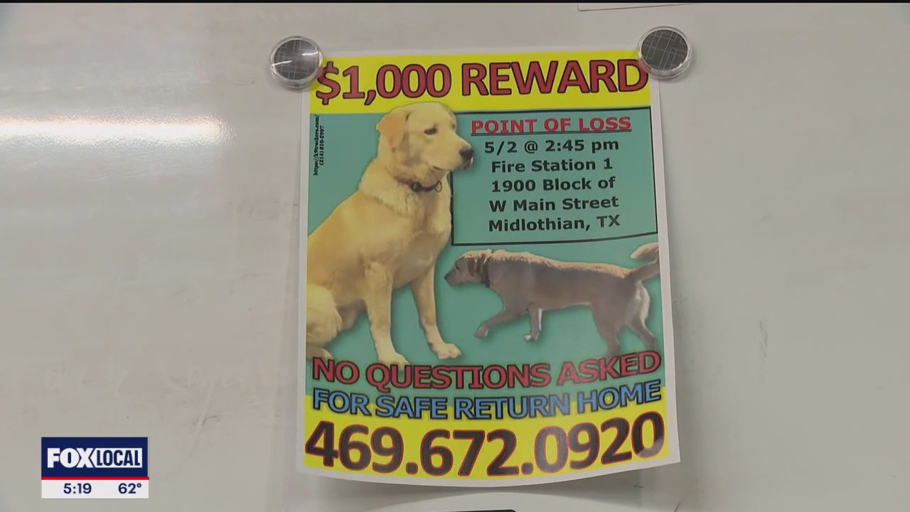 Midlothian Fire Department search for firehouse dog