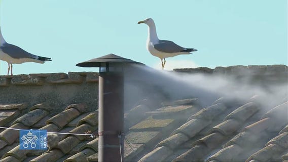 New Pope elected: White smoke billows from Sistine Chapel