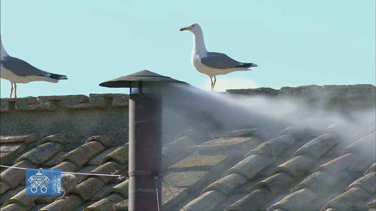 New Pope elected: White smoke billows from Sistine Chapel