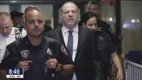 TMZ: Harvey Weinstein says he's innocent