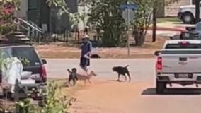 Montgomery residents worried about roaming dogs