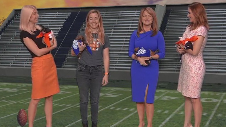 Score a free four-legged friend this Super Bowl weekend