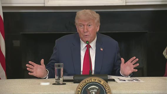 LA ICE protests: Pres. Trump on Gavin Newsom