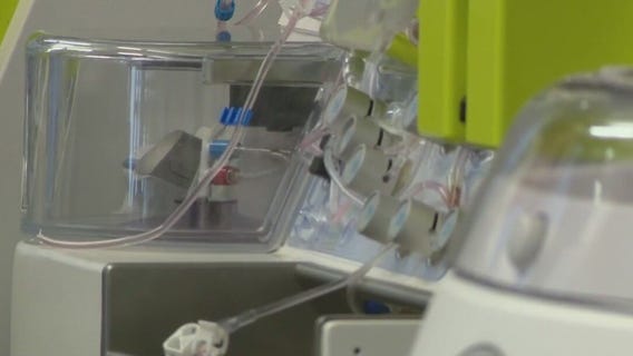 FDA approves cell therapy to treat melanoma