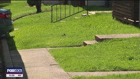 Fatal Mesquite shooting leaves family seeking answers