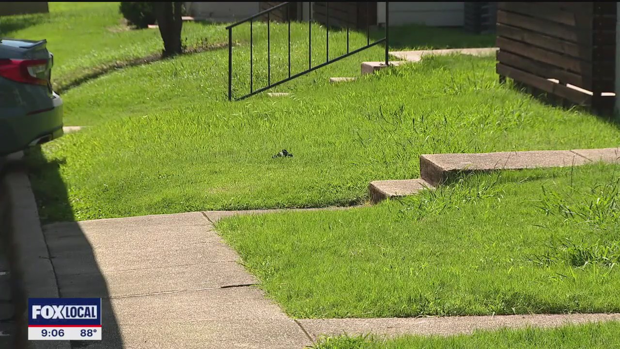 Fatal Mesquite shooting leaves family seeking answers