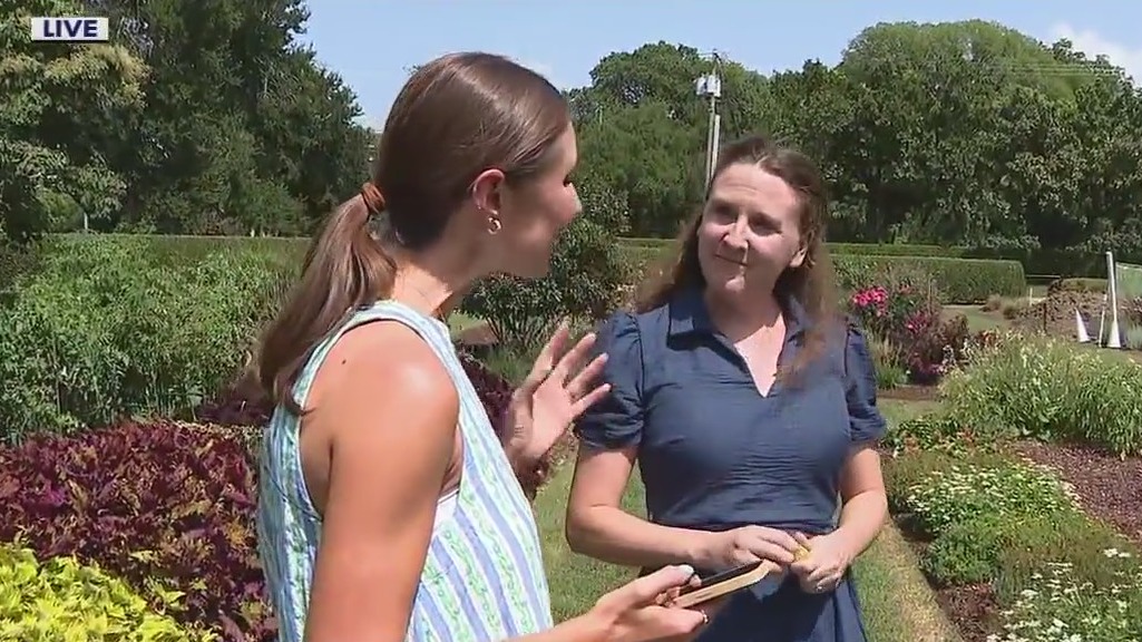 Dallas Arboretum on keeping plants alive in the heat