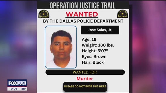 Man killed in suspected Dallas carjacking attempt