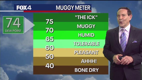 Dallas weather: June 20 morning forecast