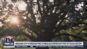 The Freedom Tree in Missouri City