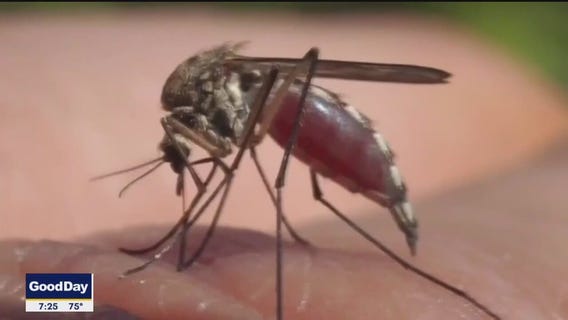 West Nile Virus in North Texas