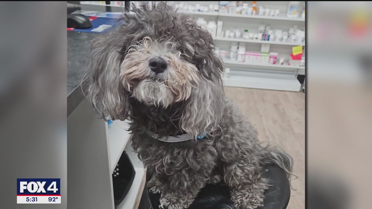 Fort Worth man saves dog from apartment complex fire