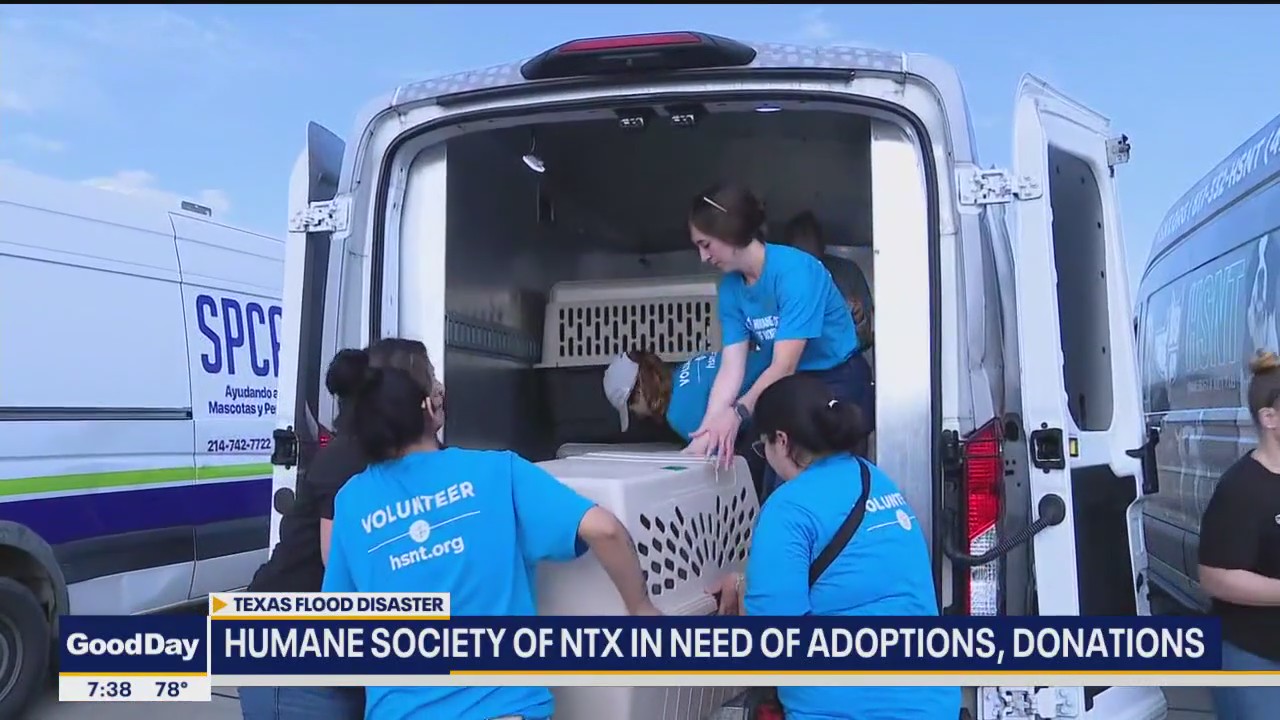 Humane society of North Texas and Wings of Rescue in need of adoptions and donations
