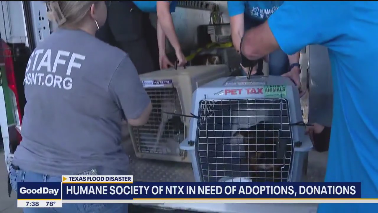 Humane Society of N. Texas needs adoptions, donations