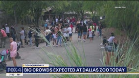 Big crowds expected at Dallas Zoo today