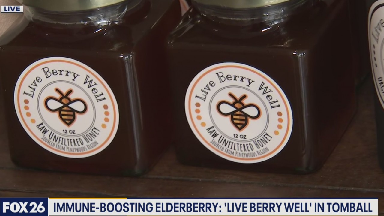 Immune boosting elderberry