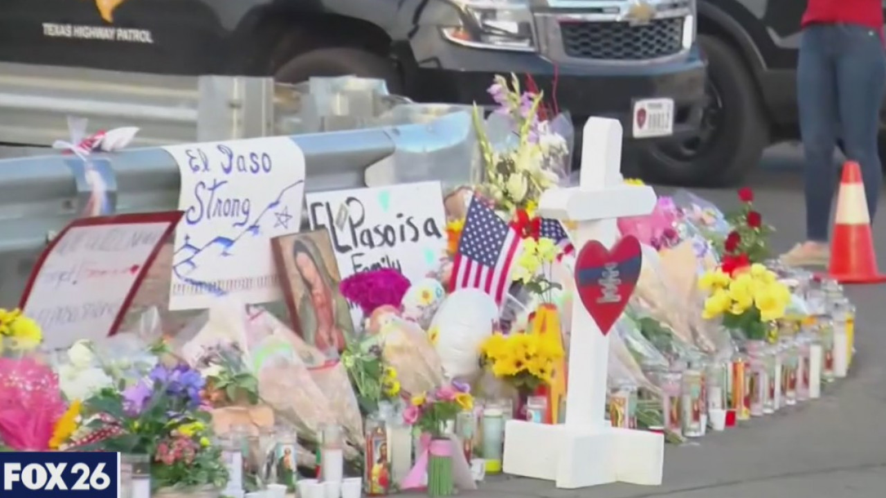 Gun control, gun purchases