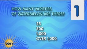 First day of summer | The Ten