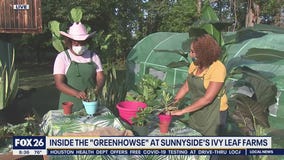 Local woman starts a farm to feed her community