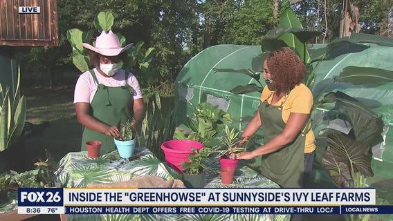 Local woman starts a farm to feed her community