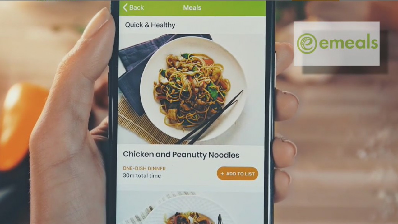 Looking to save some money and plan meals for your family