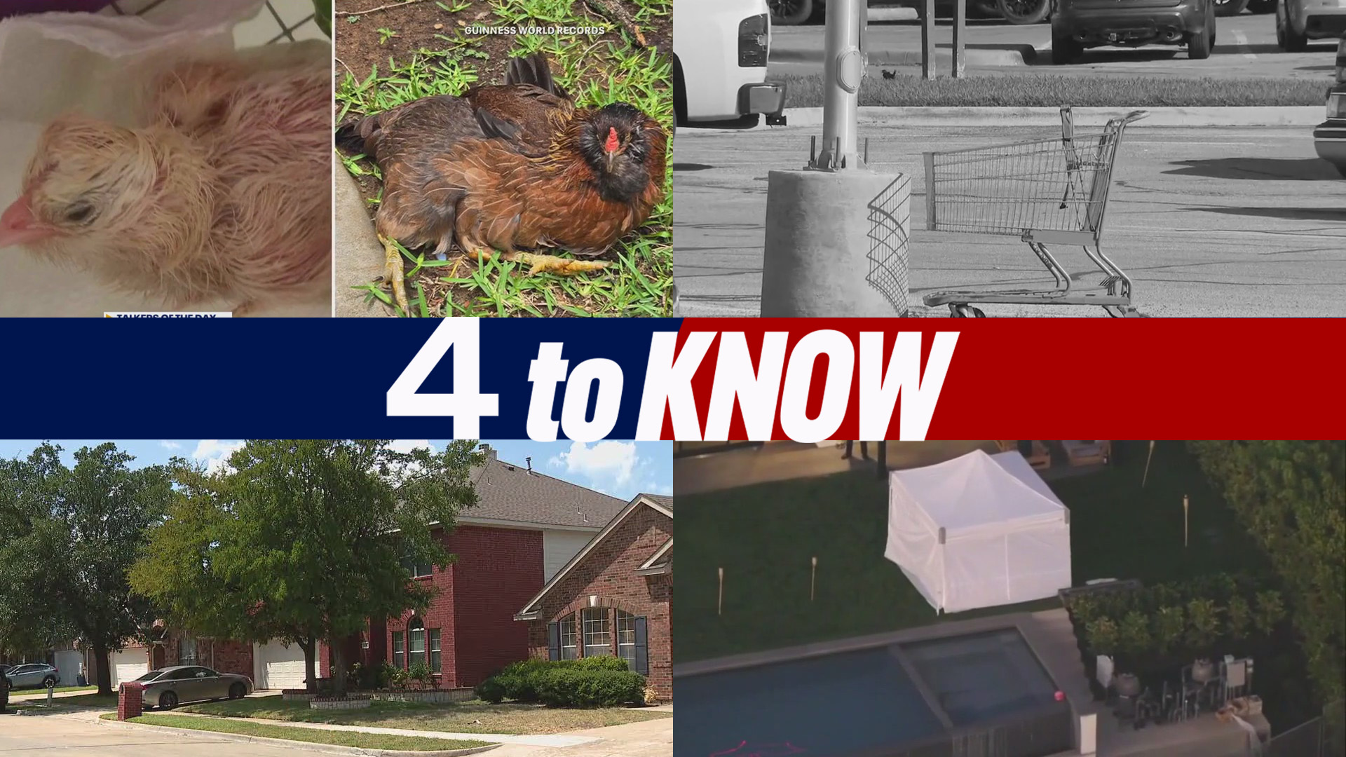 4 to Know for Tuesday, Aug. 19