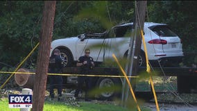 A tree falls and paralyzes Dallas mom while driving