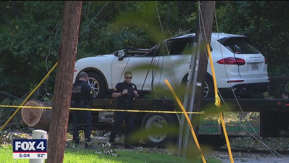 A tree falls and paralyzes Dallas mom while driving