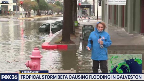 Chelsea Edwards in Galveston  8:30 A.M. Monday morning