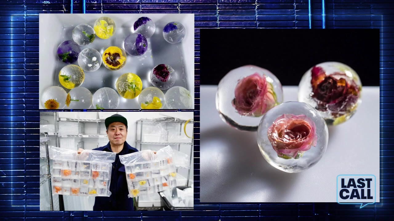 How much would you pay? | Last Call