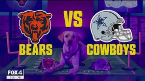 Poppy's Picks: Bears vs Cowboys